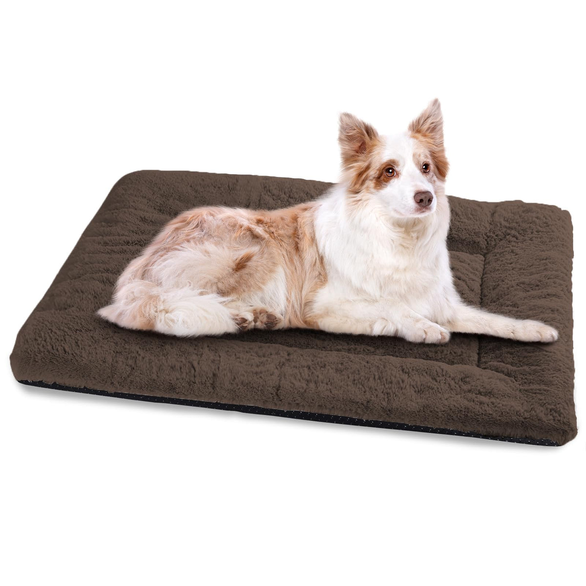 BaoDan Tapis Rafraichissant Chien,70x100cm Tapis Rafraichissant pour Chien | Bleu, Soie Glacée Respirant, Coussin Rafraîchissant Lavable, Durable, Idéal pour Chat, Les Animaux de Compagnie en été