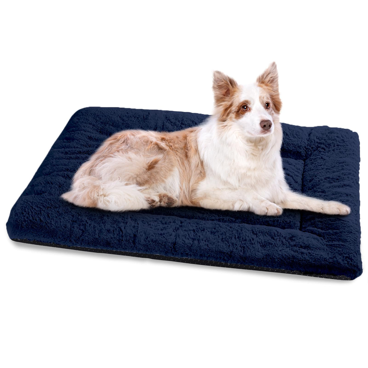 BaoDan Tapis Rafraichissant Chien,70x100cm Tapis Rafraichissant pour Chien | Bleu, Soie Glacée Respirant, Coussin Rafraîchissant Lavable, Durable, Idéal pour Chat, Les Animaux de Compagnie en été