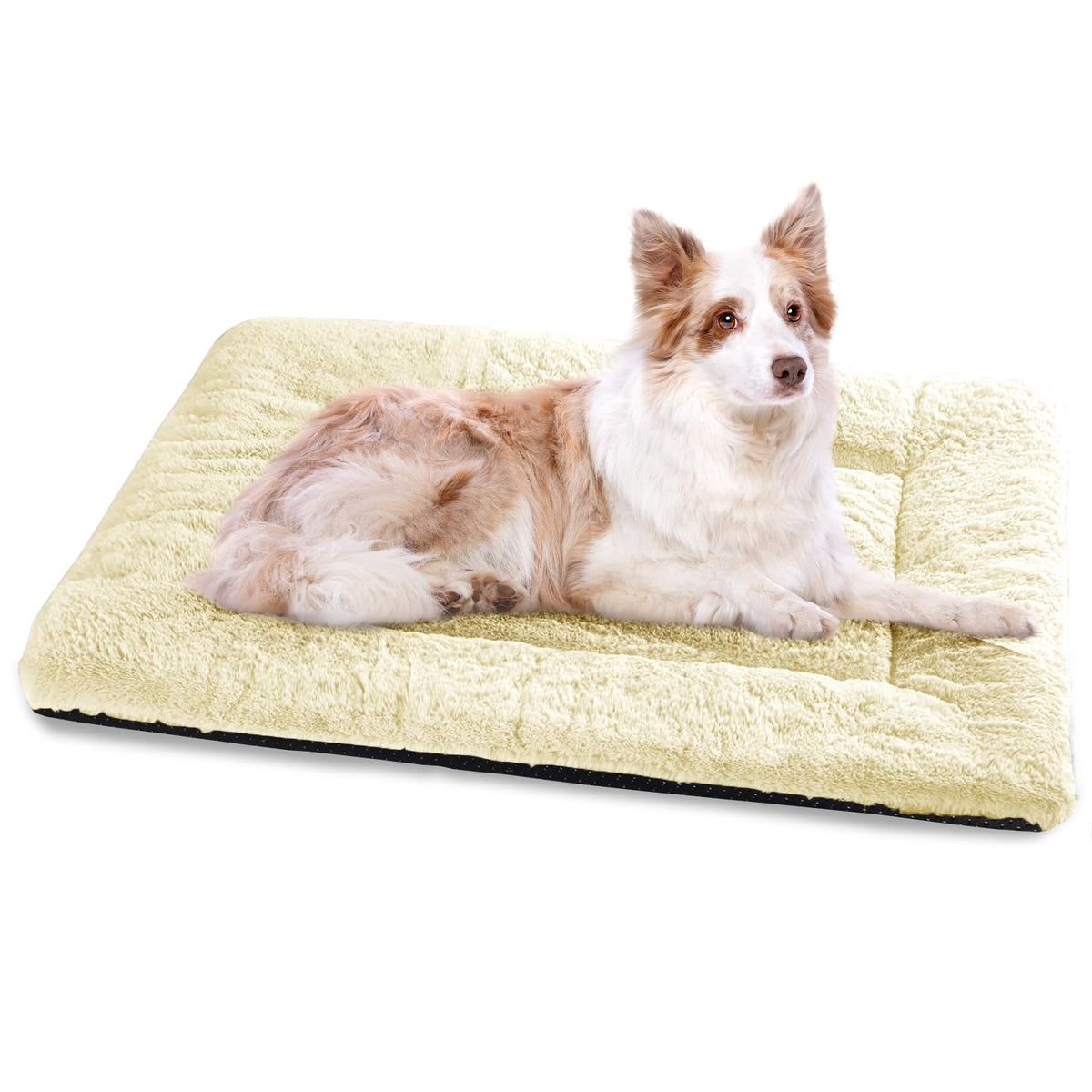 BaoDan Tapis Rafraichissant Chien,70x100cm Tapis Rafraichissant pour Chien | Bleu, Soie Glacée Respirant, Coussin Rafraîchissant Lavable, Durable, Idéal pour Chat, Les Animaux de Compagnie en été