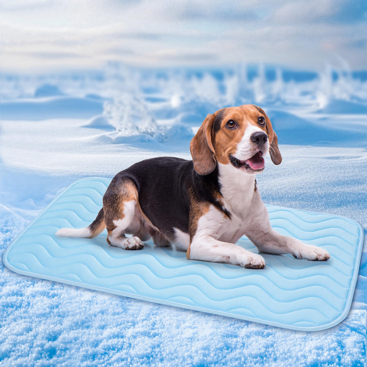 BaoDan Tapis Rafraichissant Chien,70x100cm Tapis Rafraichissant pour Chien | Bleu, Soie Glacée Respirant, Coussin Rafraîchissant Lavable, Durable, Idéal pour Chat, Les Animaux de Compagnie en été
