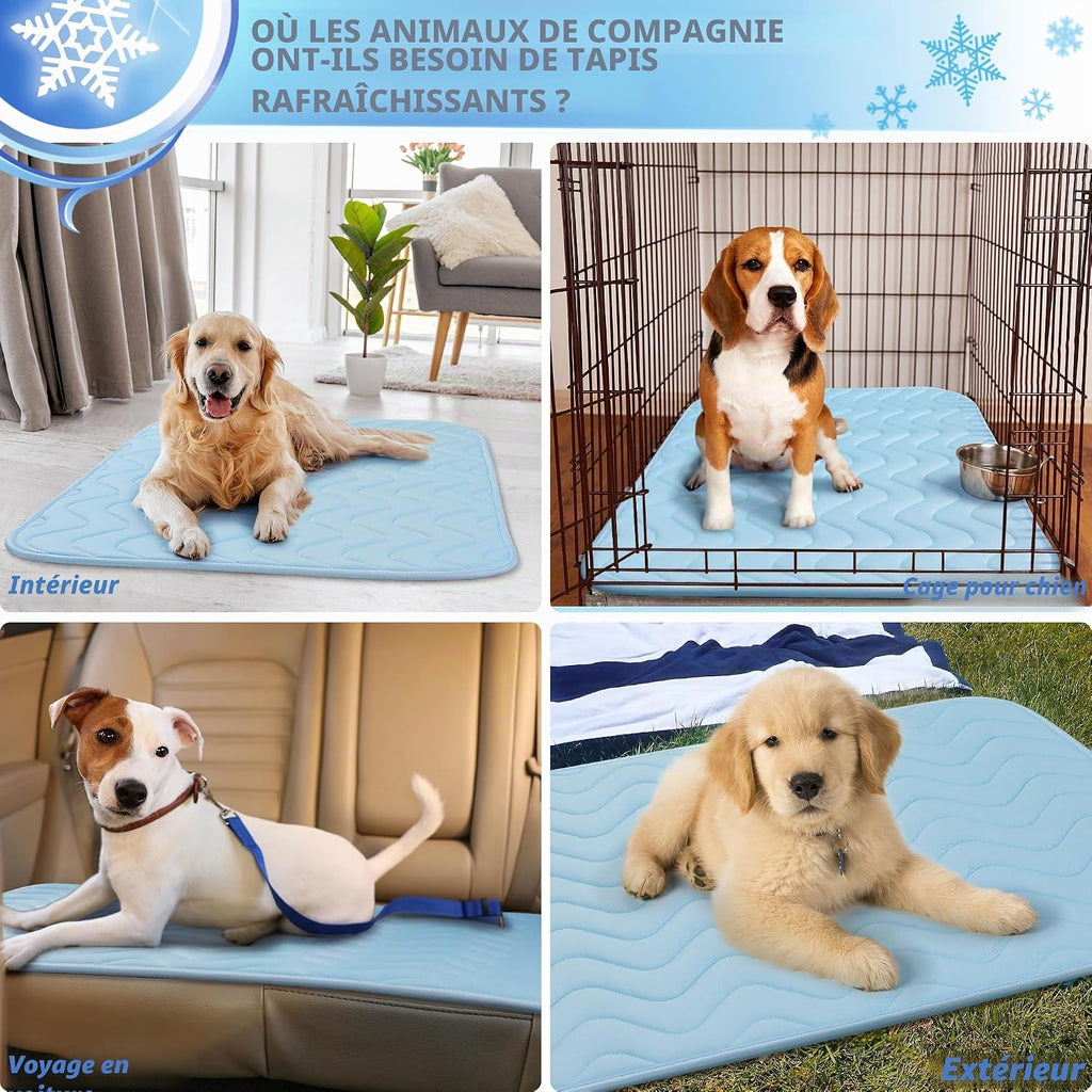 BaoDan Tapis Rafraichissant Chien,70x100cm Tapis Rafraichissant pour Chien | Bleu, Soie Glacée Respirant, Coussin Rafraîchissant Lavable, Durable, Idéal pour Chat, Les Animaux de Compagnie en été