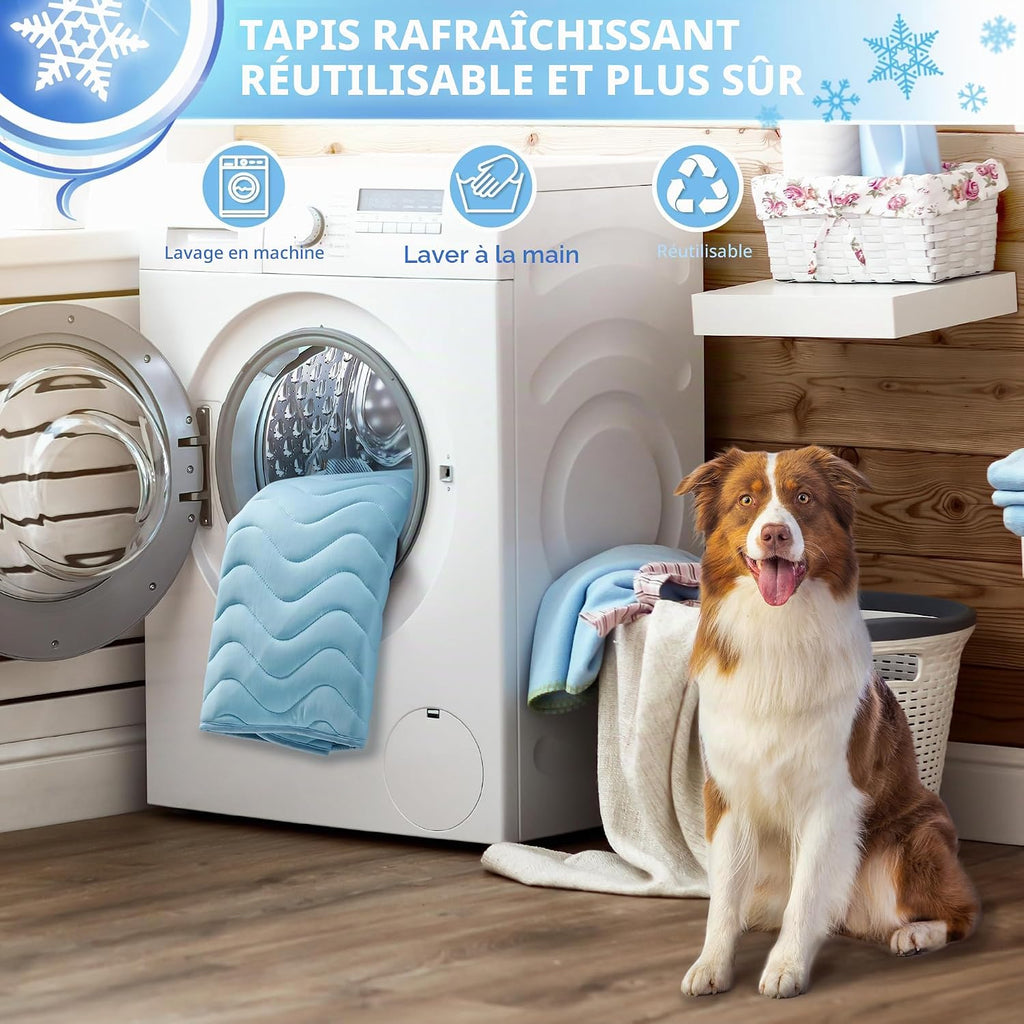 BaoDan Tapis Rafraichissant Chien,70x100cm Tapis Rafraichissant pour Chien | Bleu, Soie Glacée Respirant, Coussin Rafraîchissant Lavable, Durable, Idéal pour Chat, Les Animaux de Compagnie en été