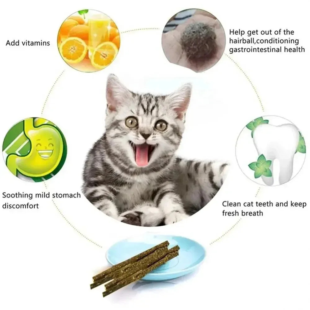 Matatabi Sticks for Cats – Natural Teeth Cleaning & Stimulation (Pack of 6)