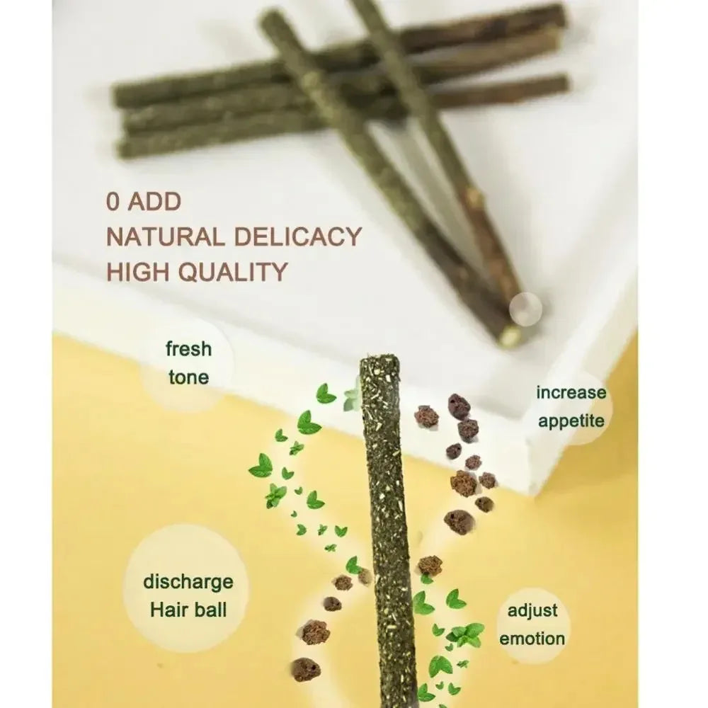 Matatabi Sticks for Cats – Natural Teeth Cleaning & Stimulation (Pack of 6)