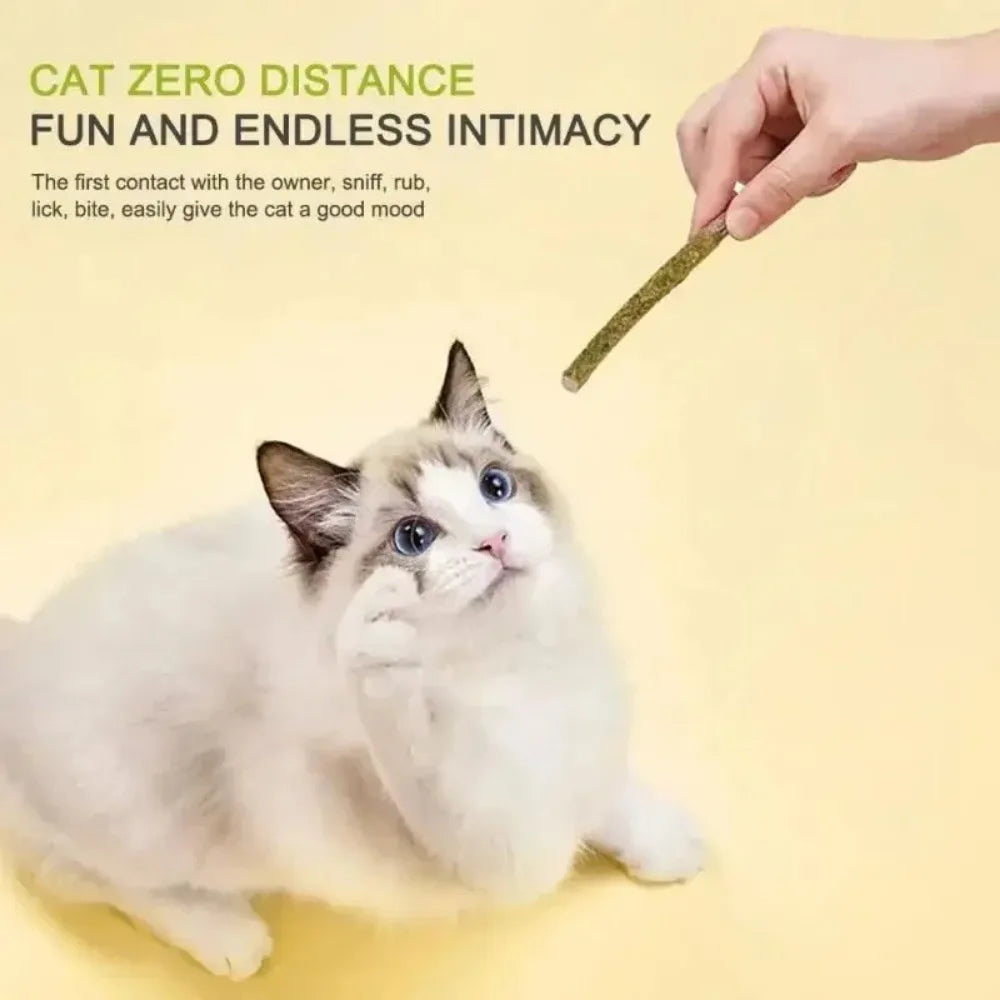 Matatabi Sticks for Cats – Natural Teeth Cleaning & Stimulation (Pack of 6)