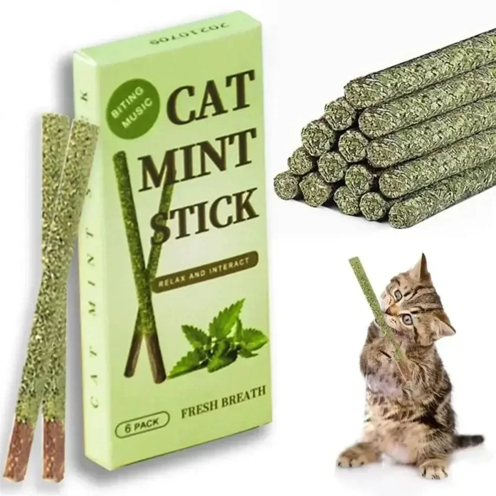 Matatabi Sticks for Cats – Natural Teeth Cleaning & Stimulation (Pack of 6)