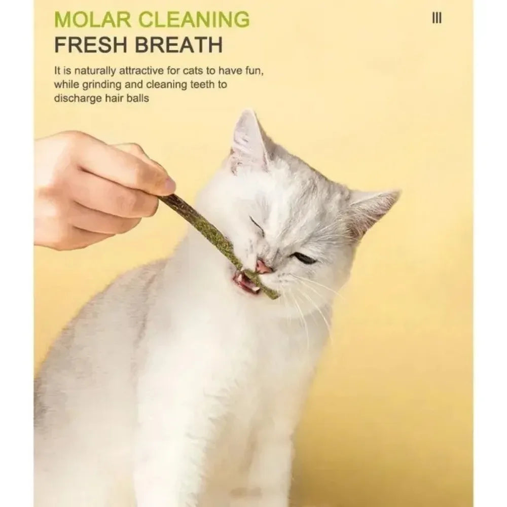 Matatabi Sticks for Cats – Natural Teeth Cleaning & Stimulation (Pack of 6)